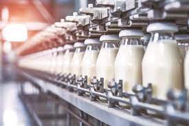 Dairy Industry: A Pillar of Global Nutrition and Economy